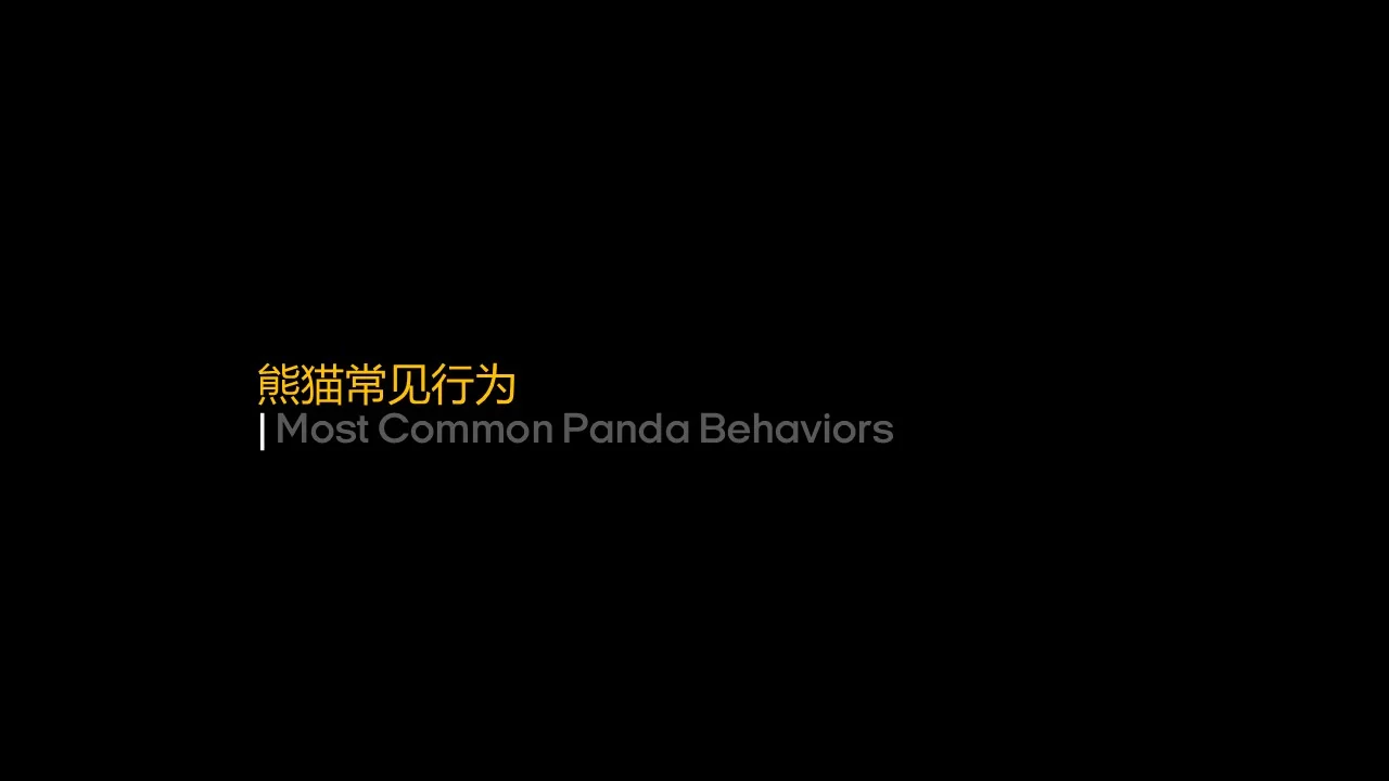 Dongfeng/Huawei · Panda — Panda — Behavior development introduction